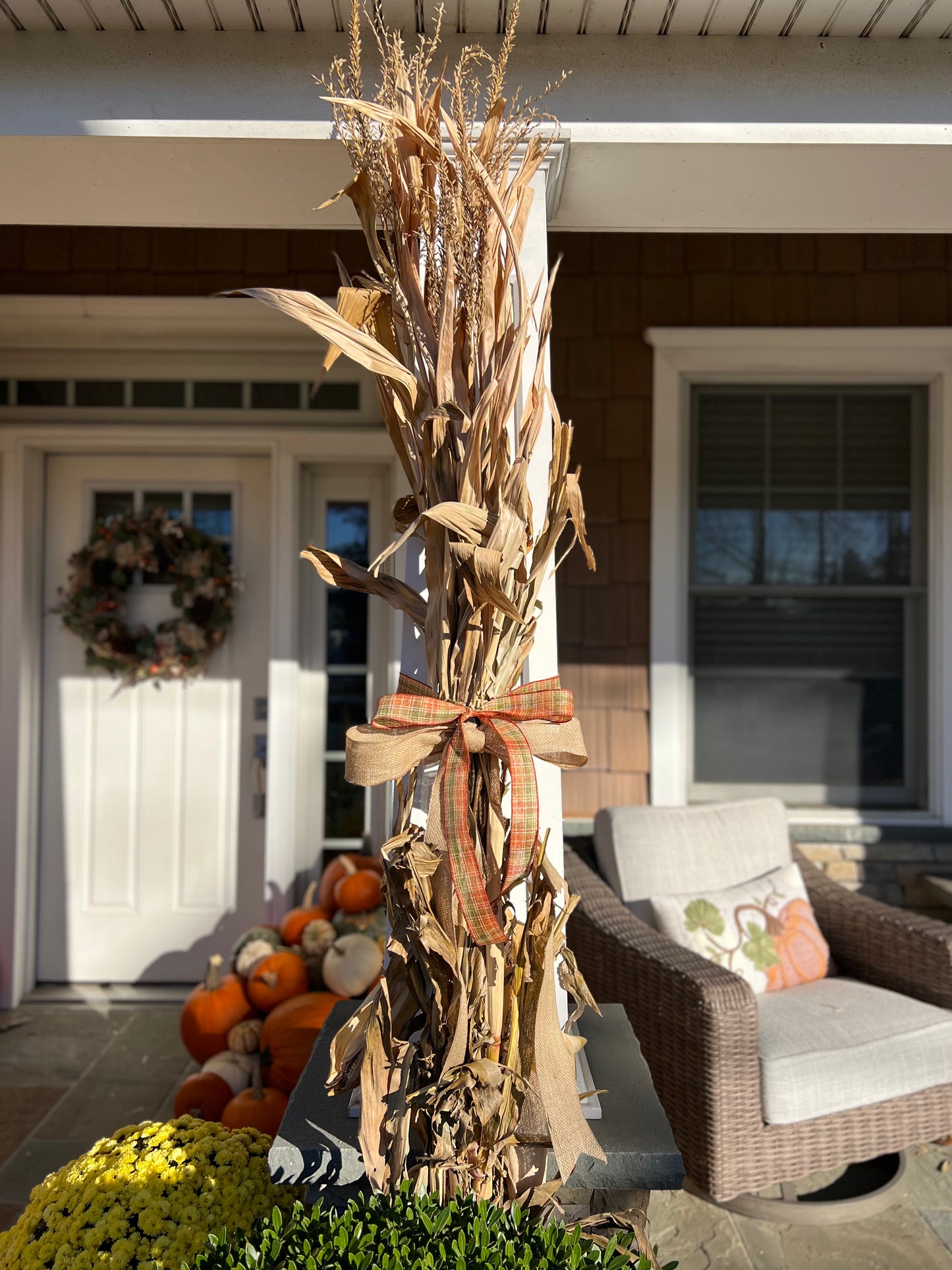 Corn Stalks (Set of 2)