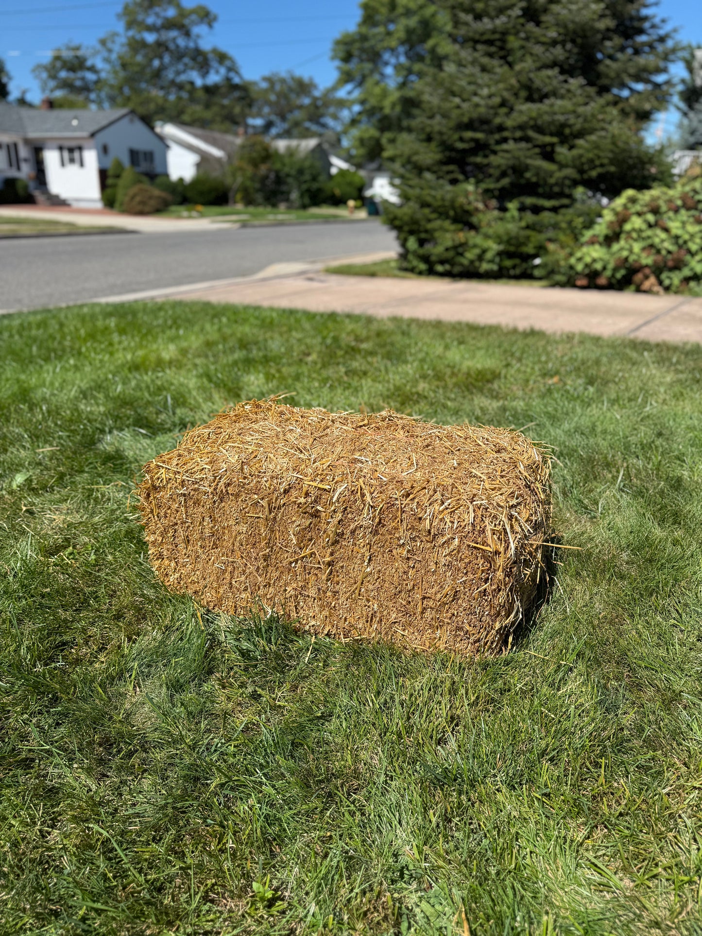 Straw Bale