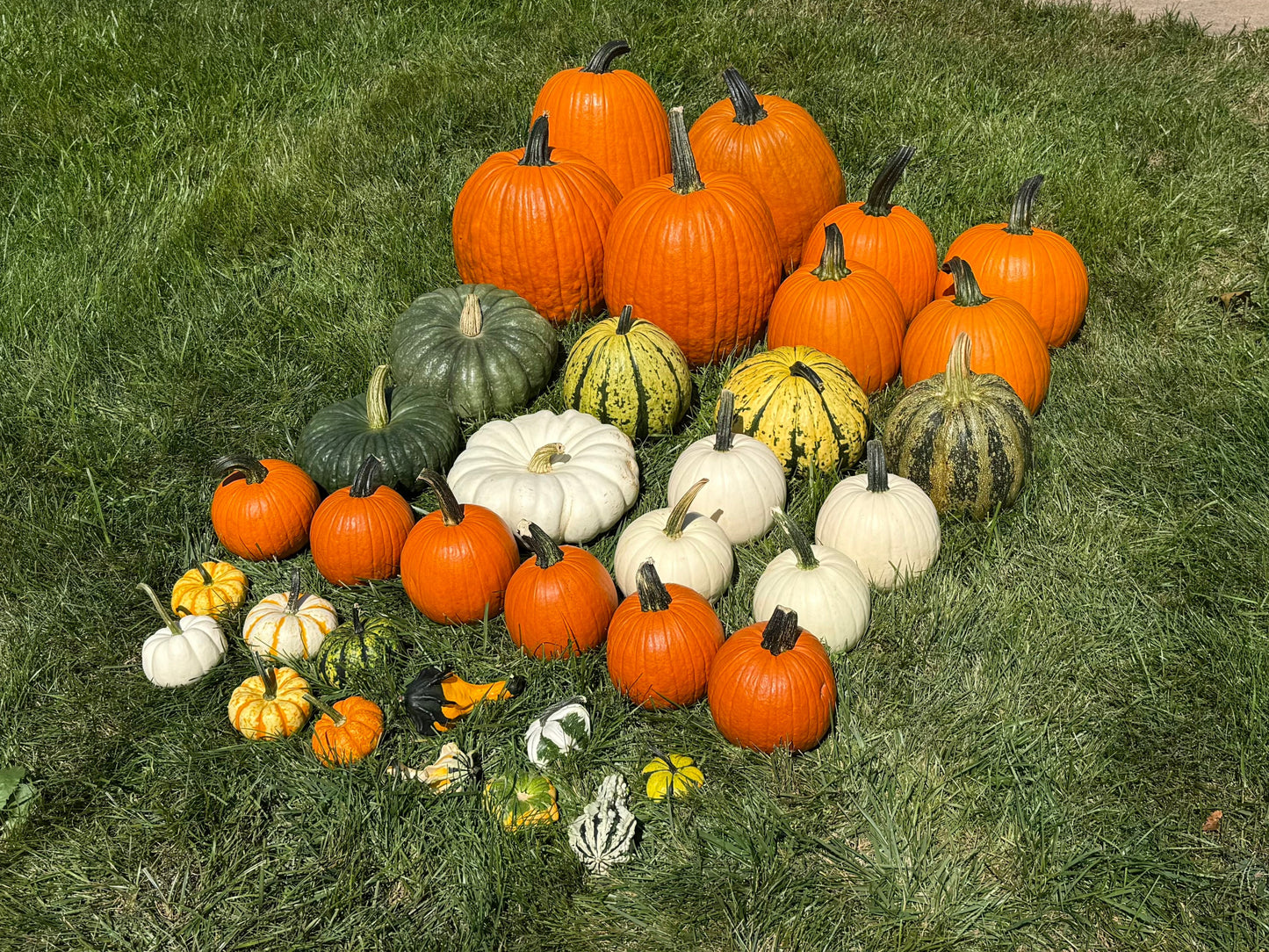 DIY Small Pumpkin Package