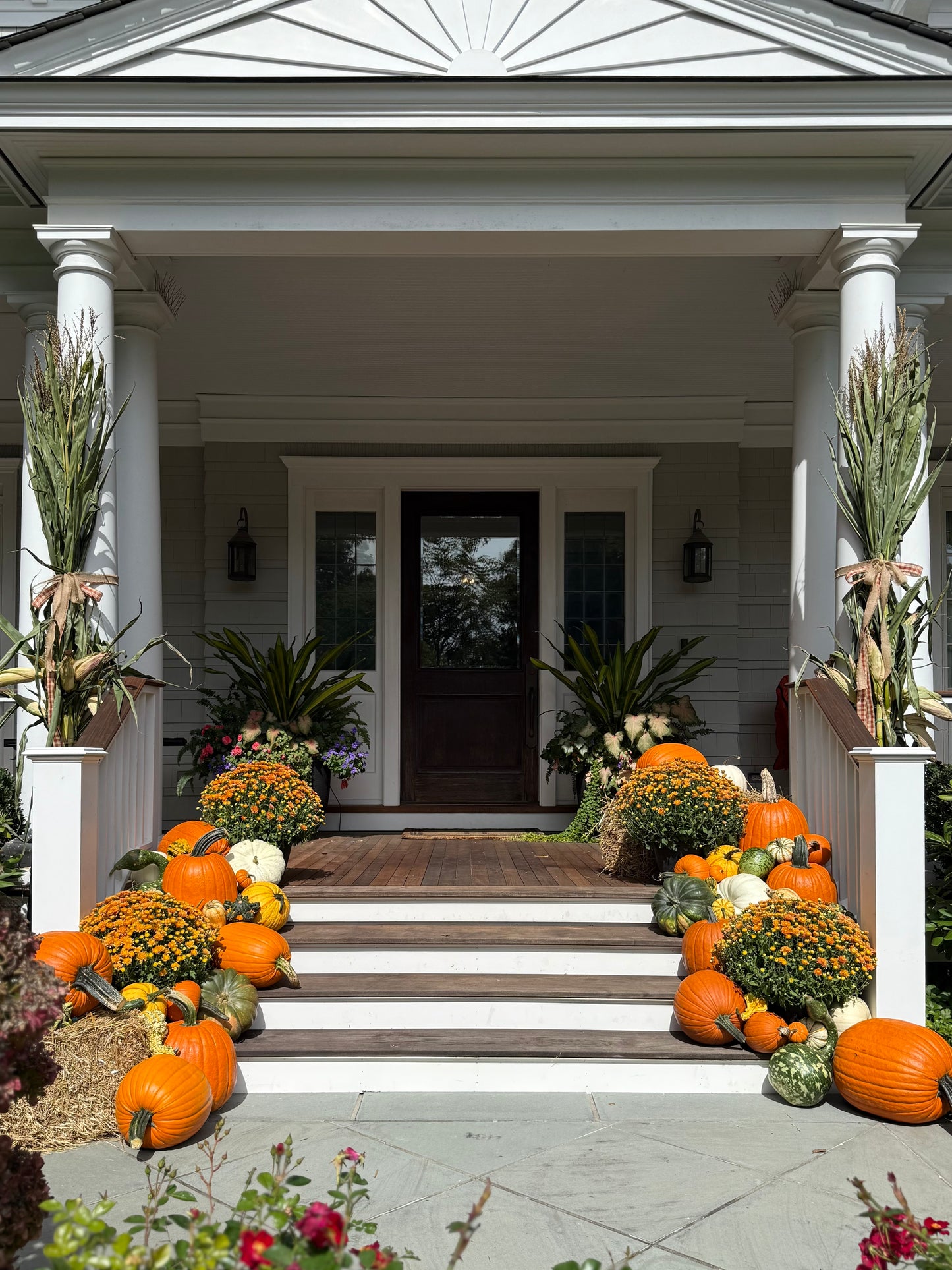 Medium Pumpkin Package