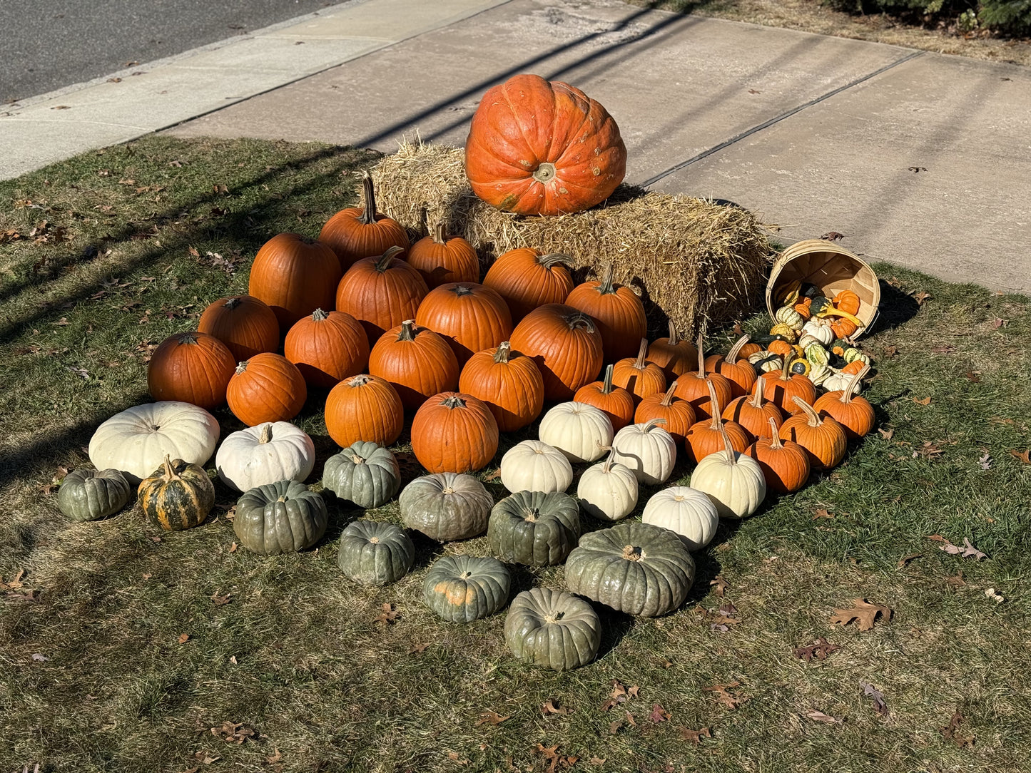 DIY Large Pumpkin Package