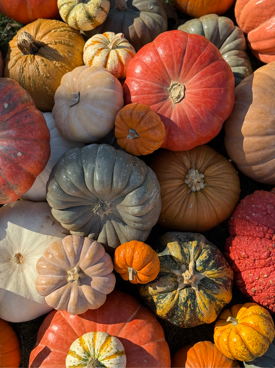 Screenshot 2025-08-21 at 9.22.48 PM.png