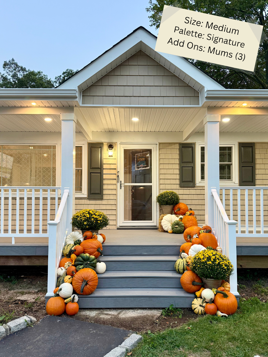 Medium Pumpkin Package