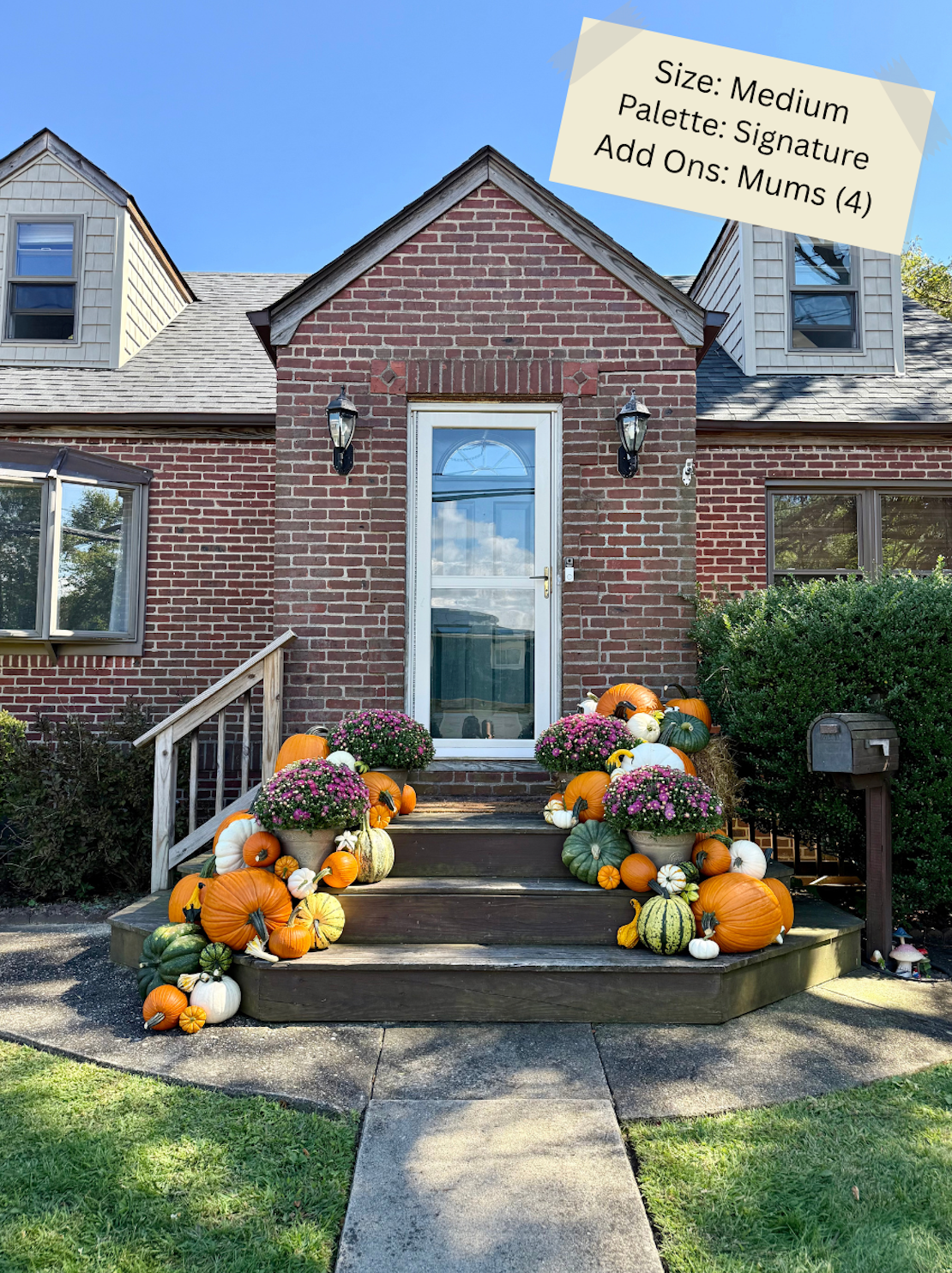 Medium Pumpkin Package