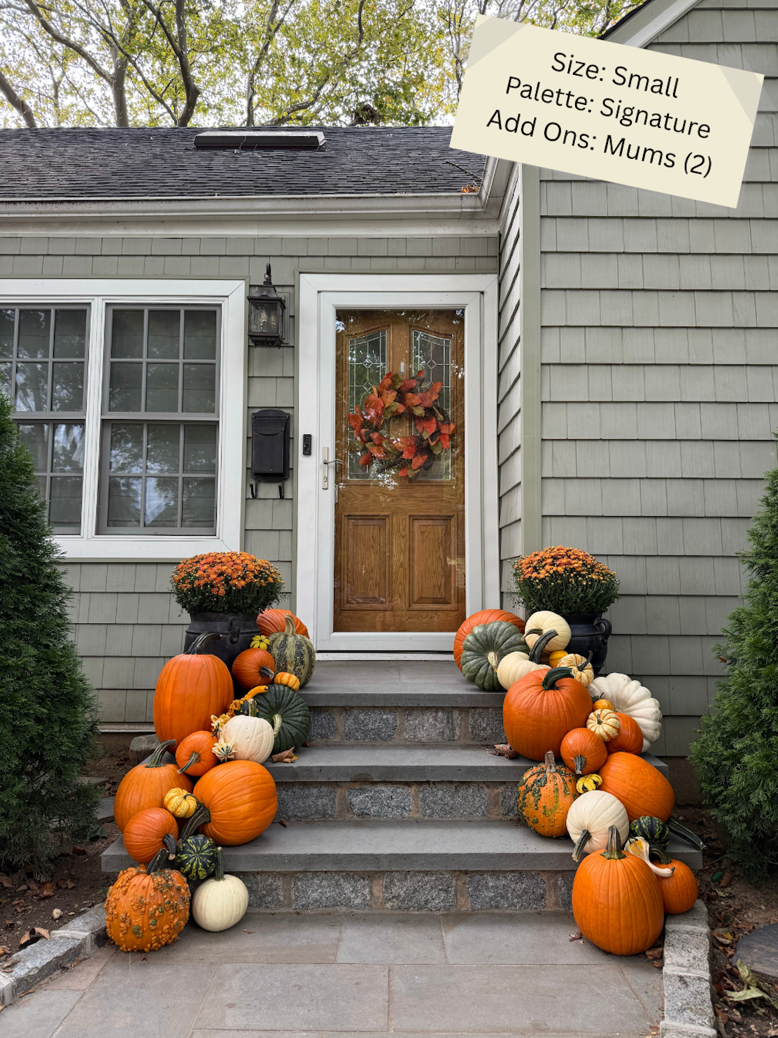 Small Pumpkin Package