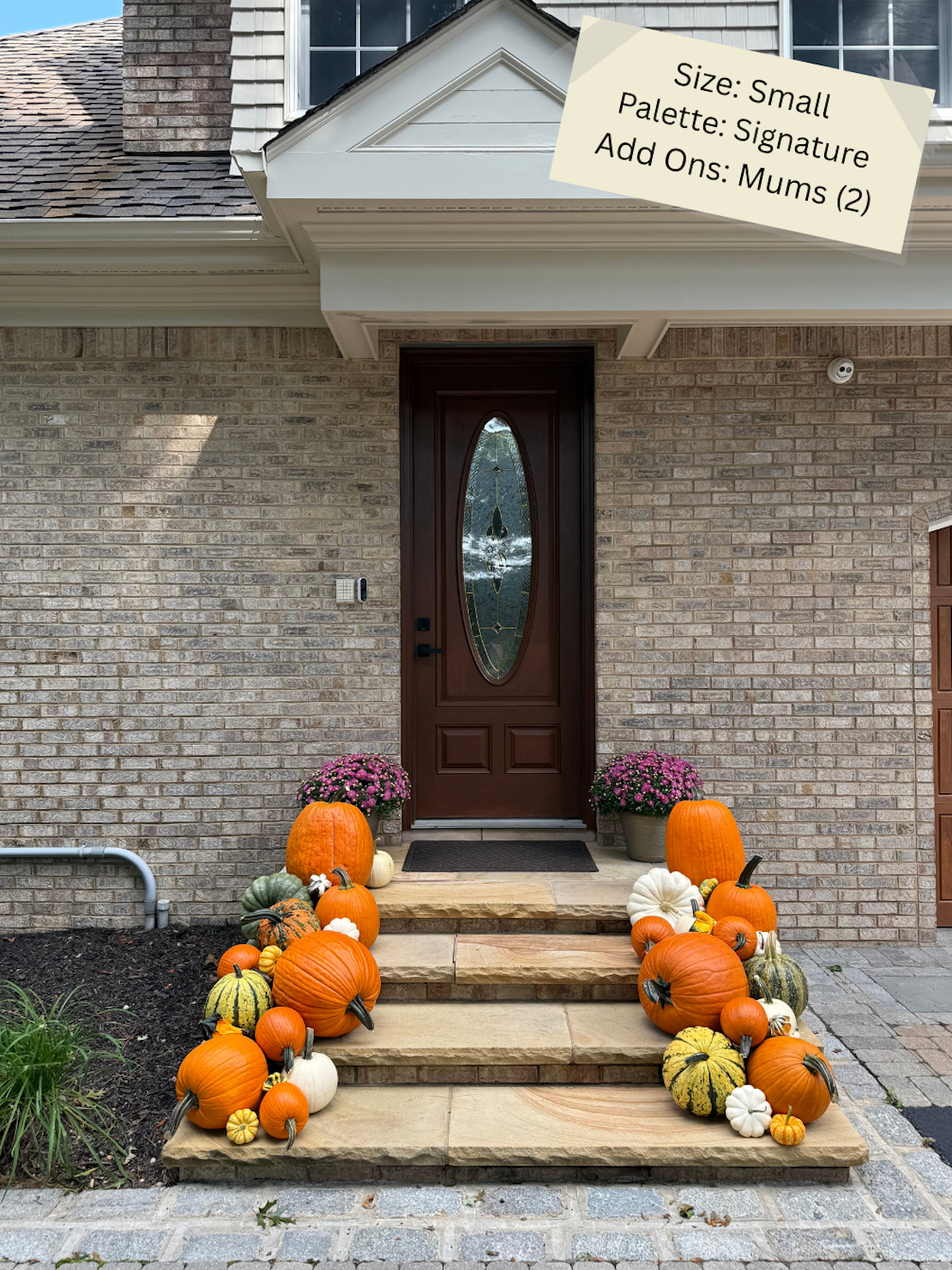 Small Pumpkin Package