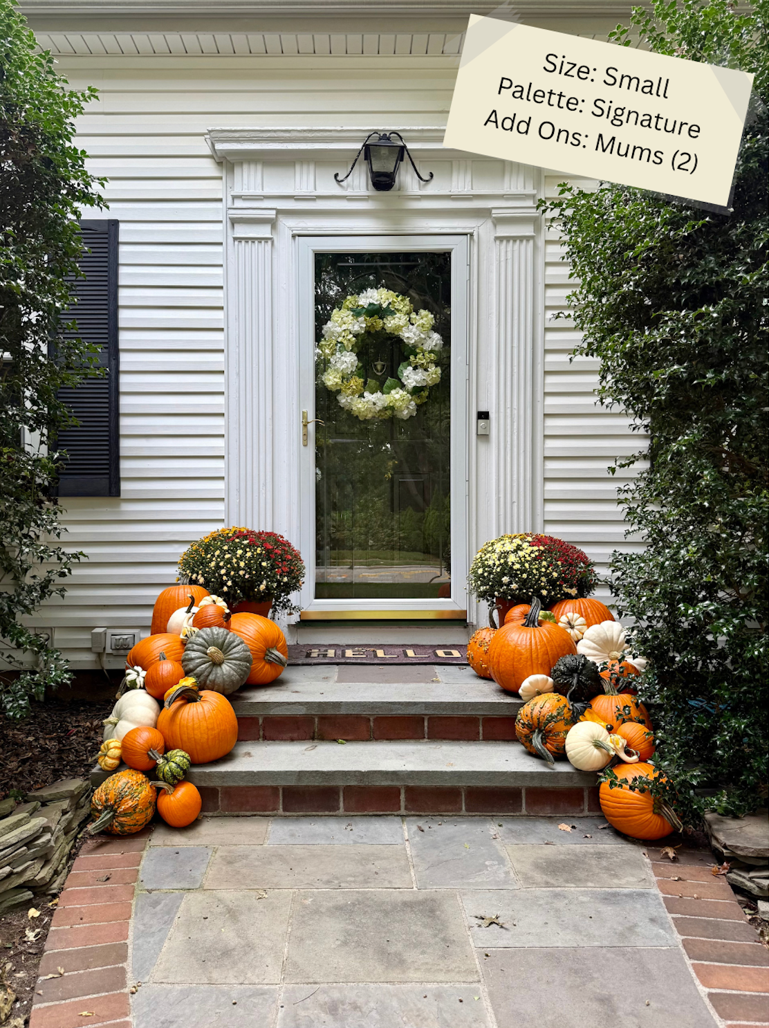 Small Pumpkin Package