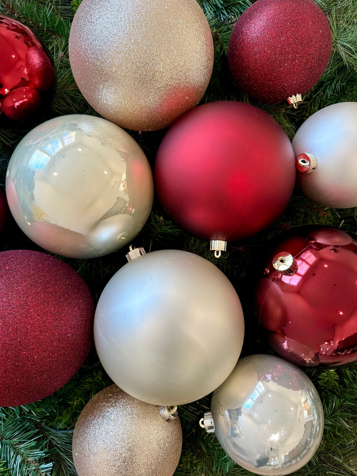 Champagne & Burgundy Smaller.jpg