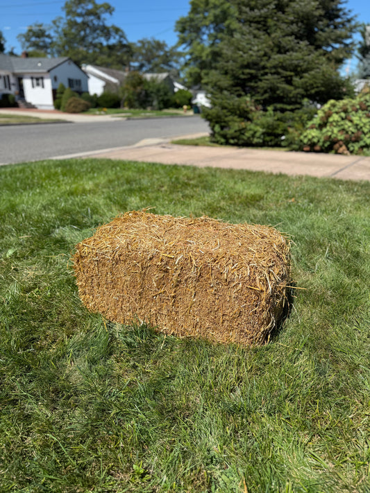 Straw Bale