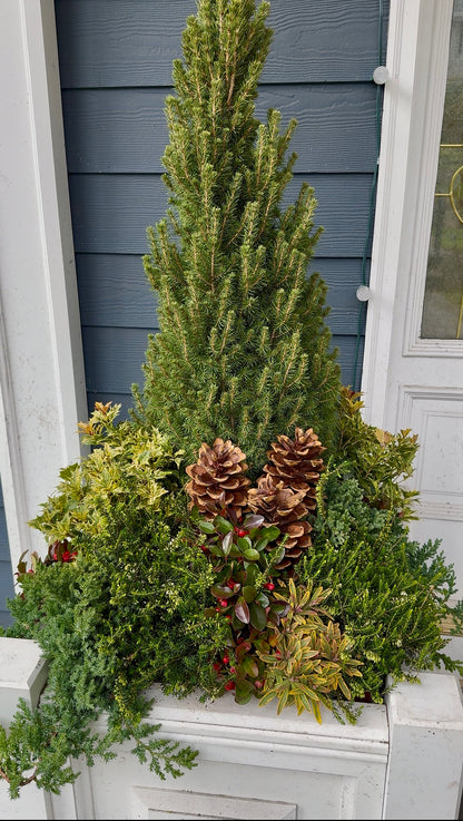 Custom Real Planter