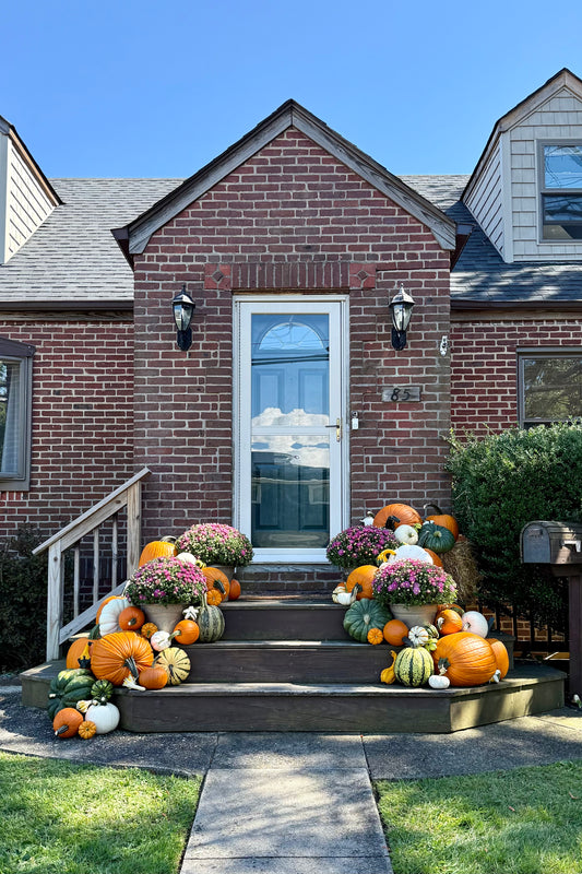 Medium Pumpkin Package