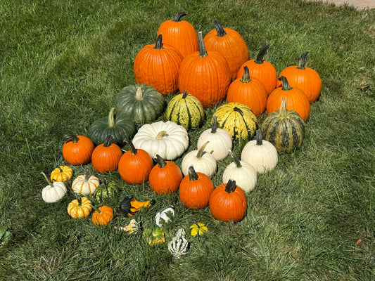 DIY Small Pumpkin Package