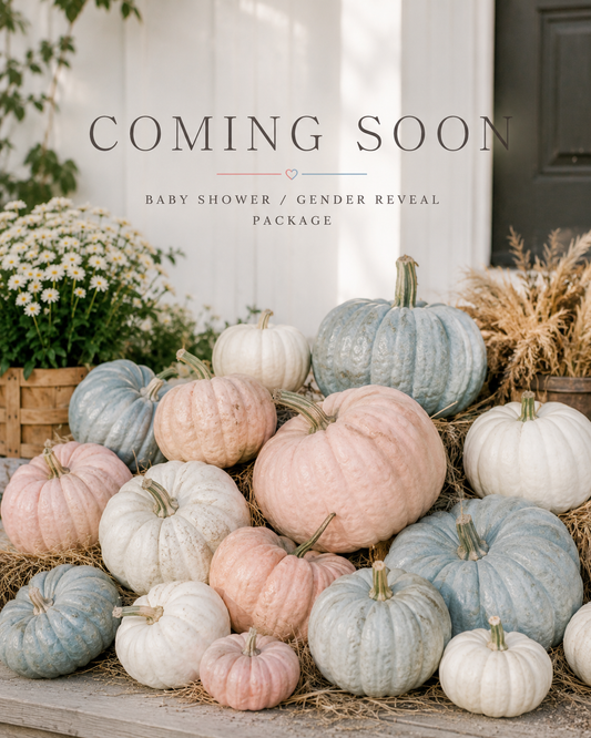 Baby Shower/Gender Reveal Pumpkin Package