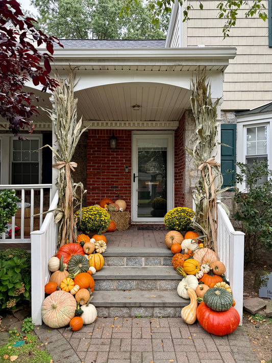 Medium Pumpkin Package