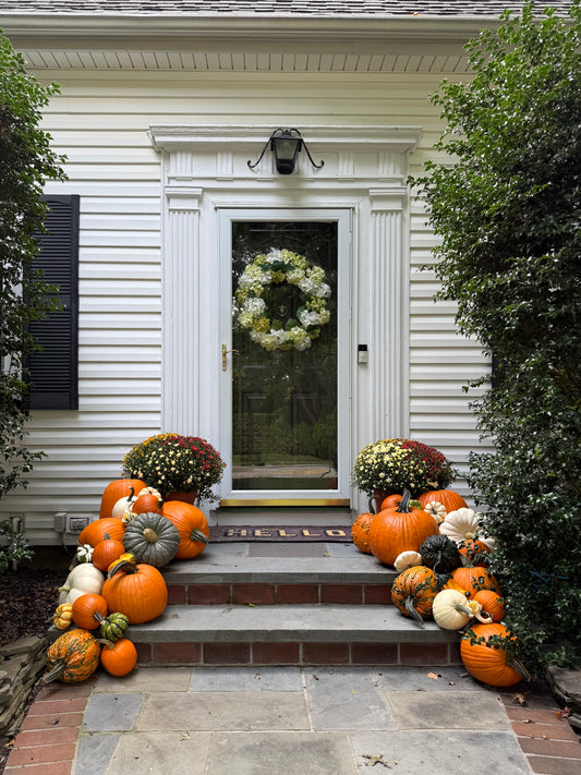 Small Pumpkin Package
