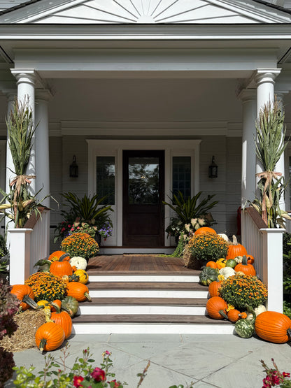 Medium Pumpkin Package