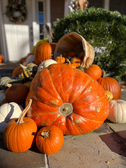 Prize Pumpkin