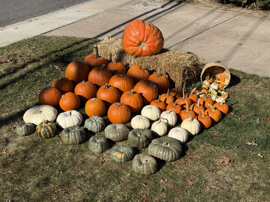 DIY Large Pumpkin Package