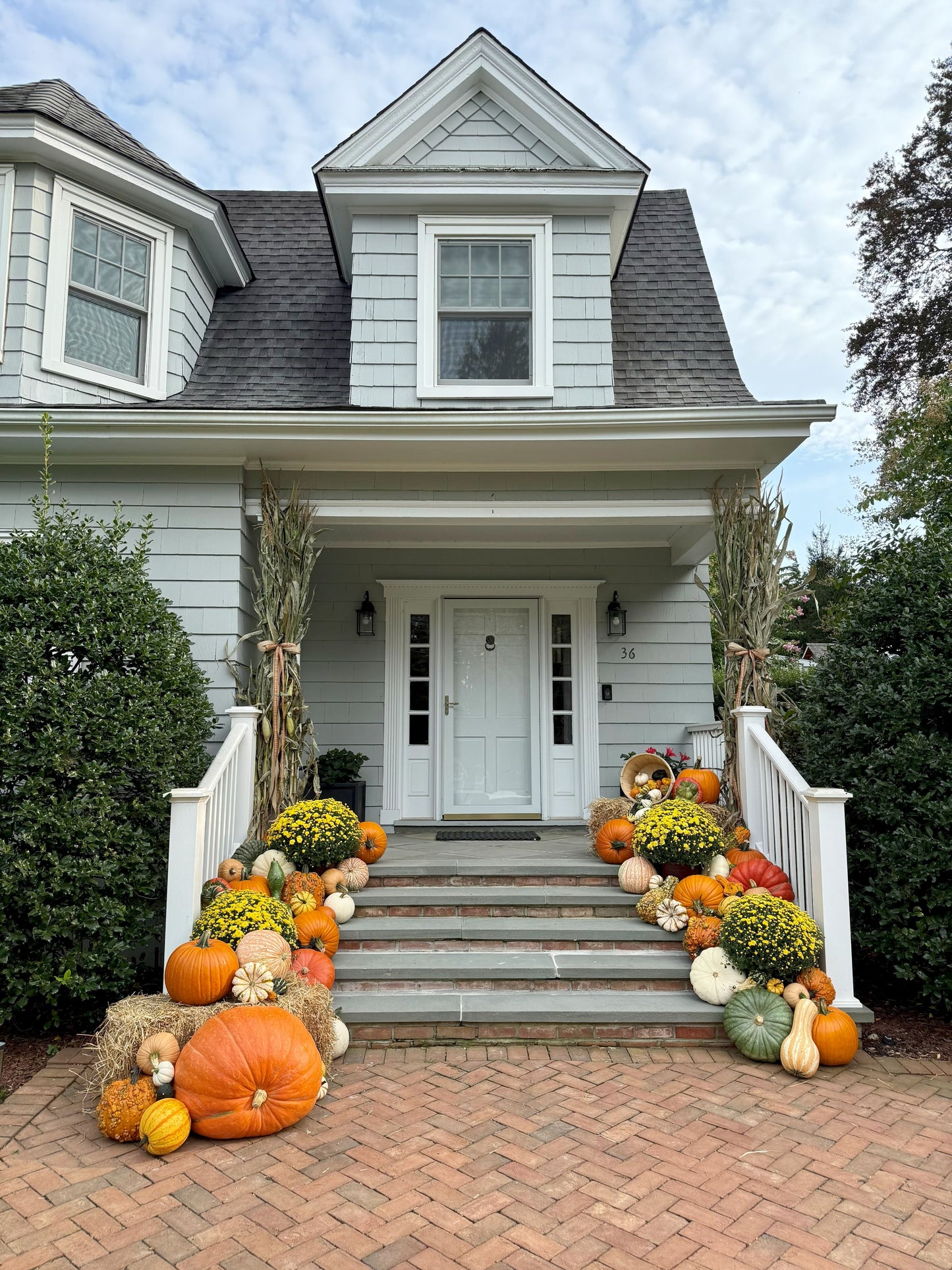 Large Pumpkin Package