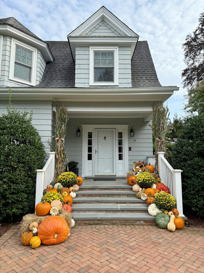 Large Pumpkin Package