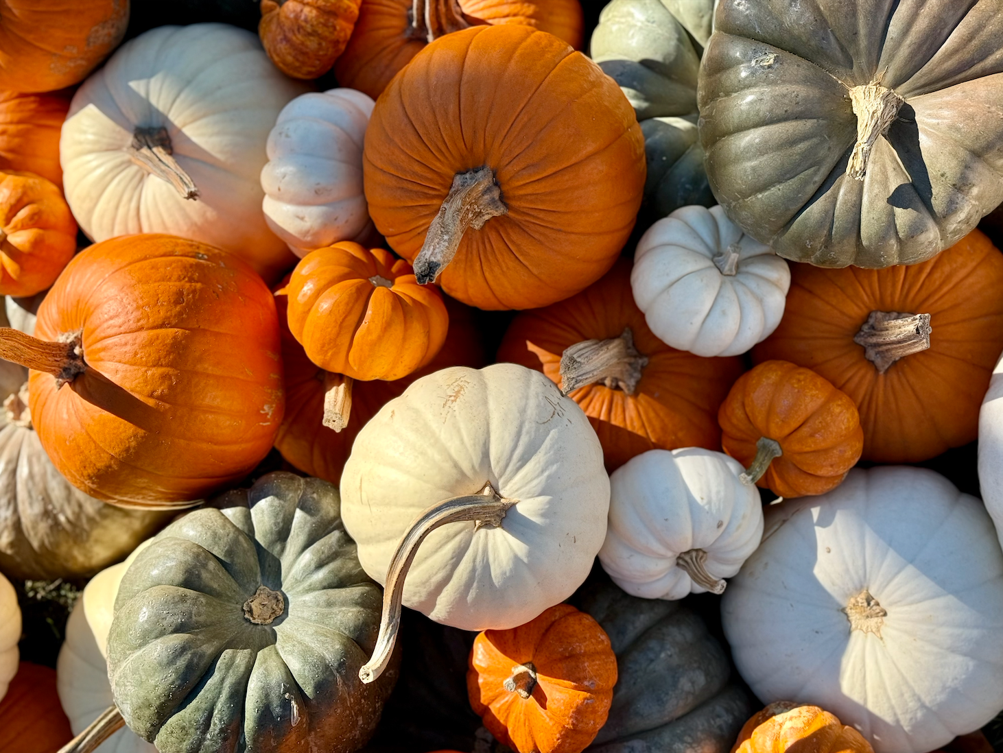 Screenshot 2025-08-21 at 9.23.56 PM.png