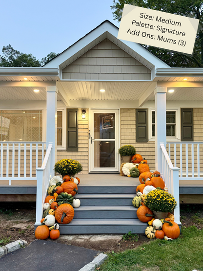 Medium Pumpkin Package
