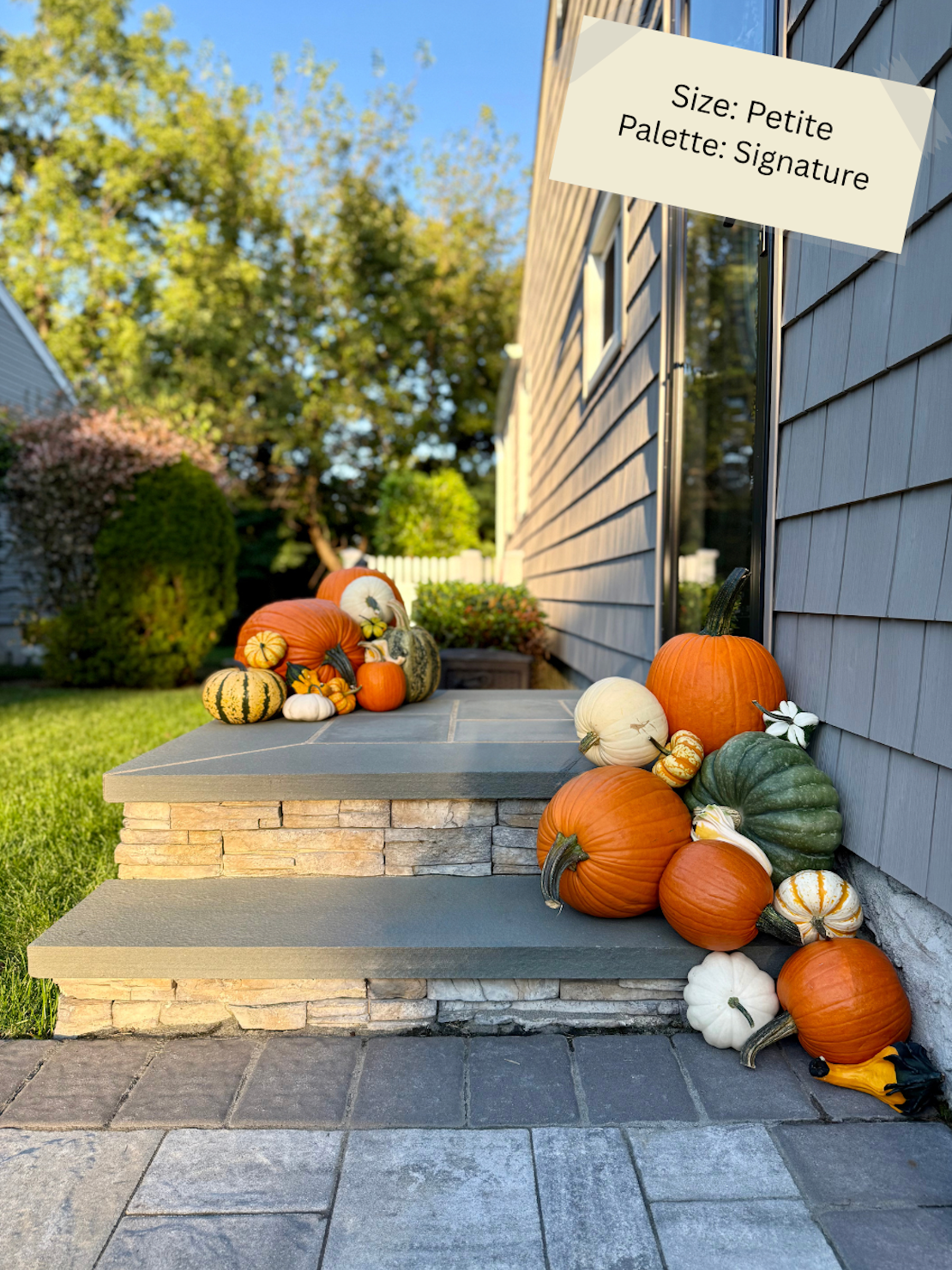 Petite Pumpkin Package