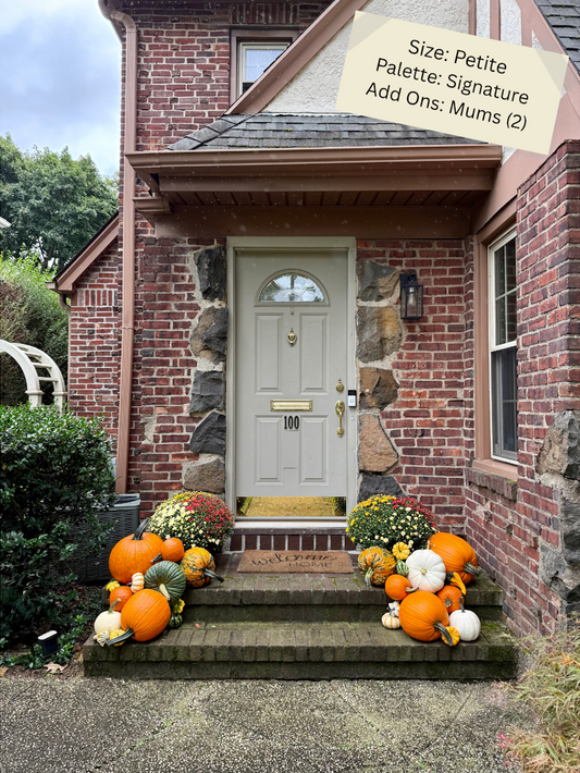 Petite Pumpkin Package
