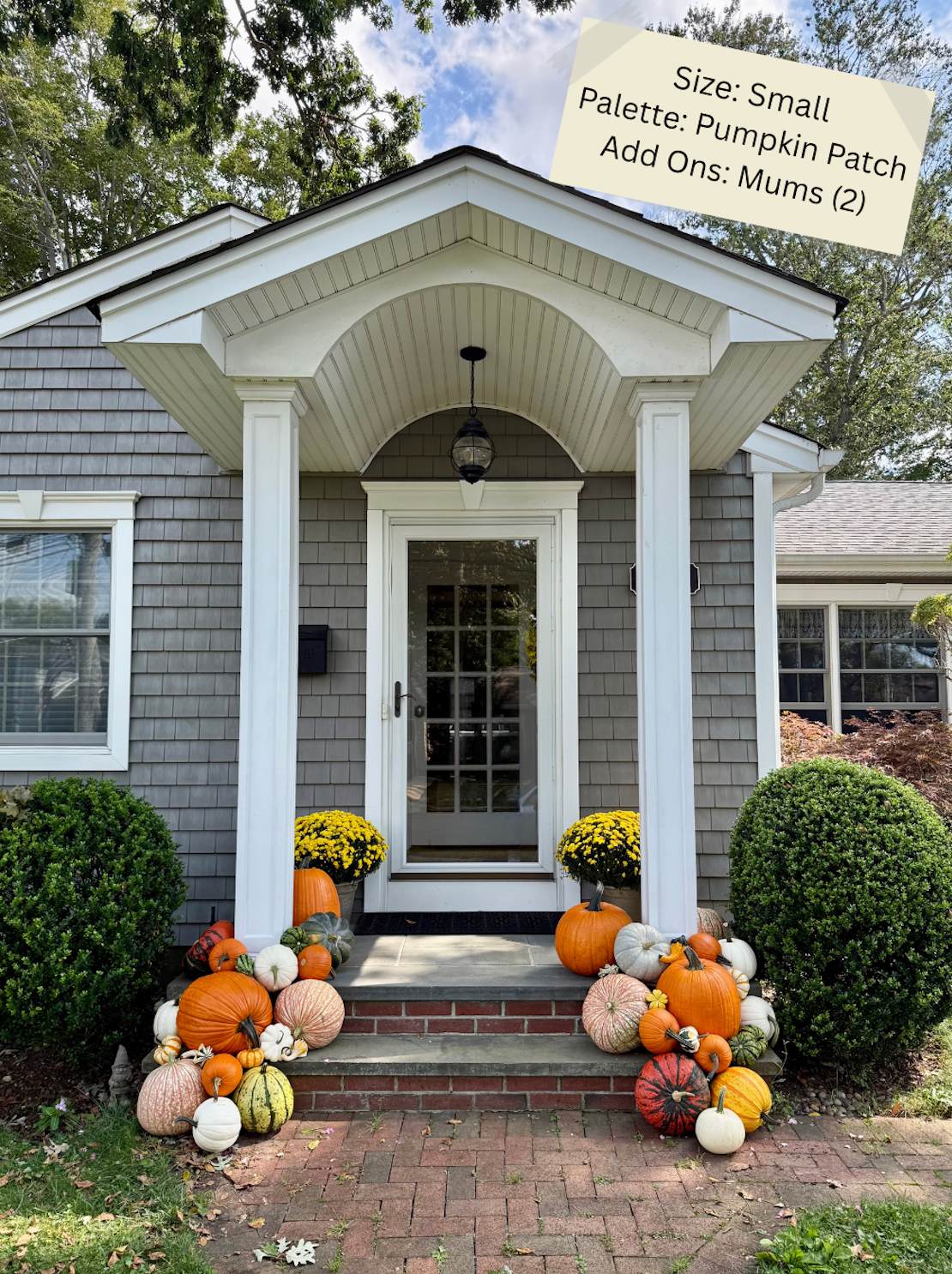 Small Pumpkin Package