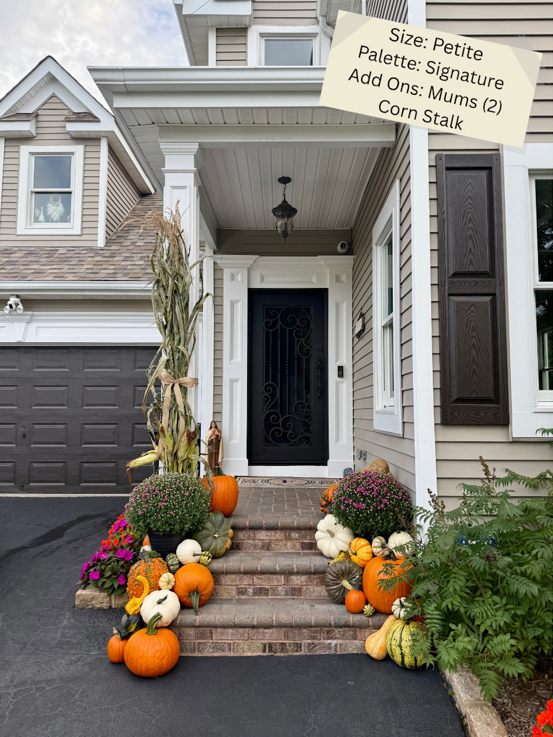Petite Pumpkin Package