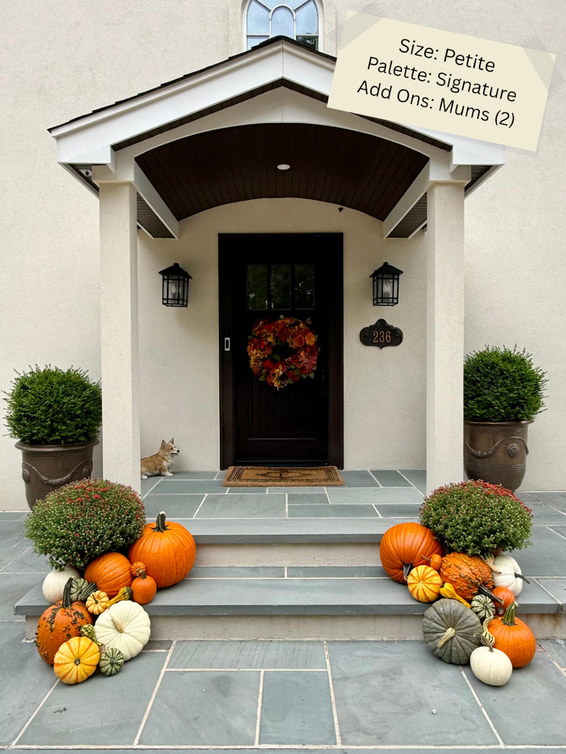 Petite Pumpkin Package