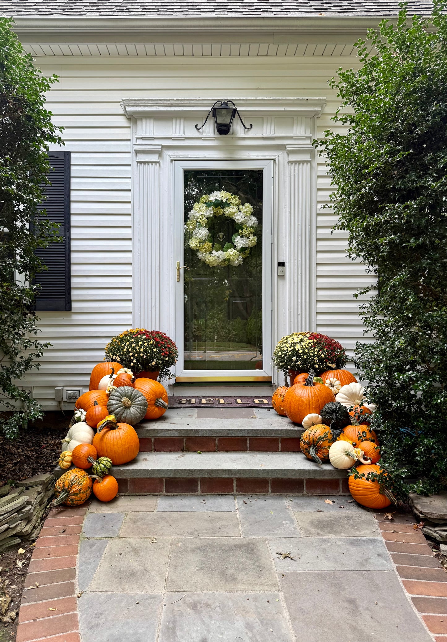 Small Pumpkin Package