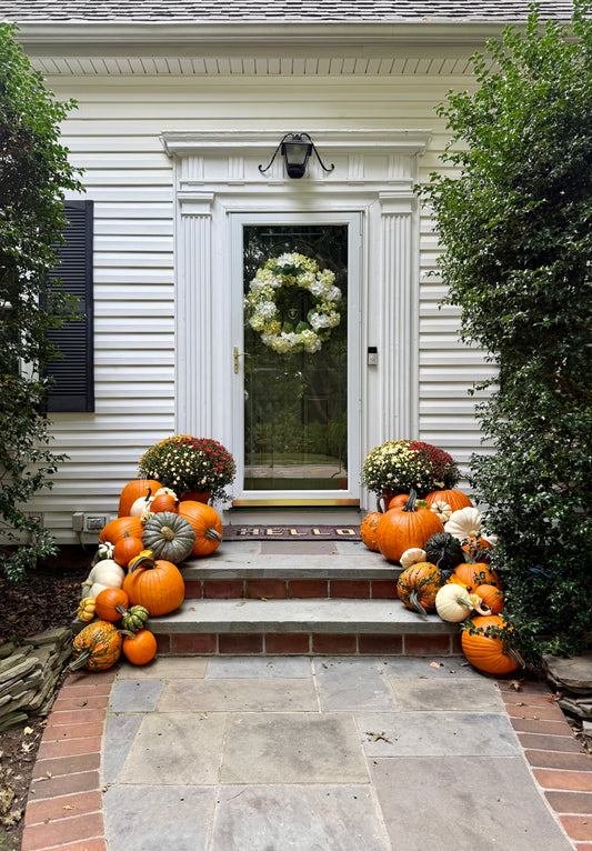 Small Pumpkin Package