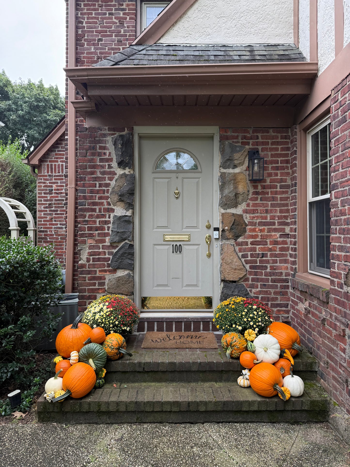 Petite Pumpkin Package